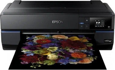 Epson  SC-P800