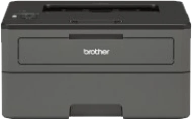Brother HL L2375