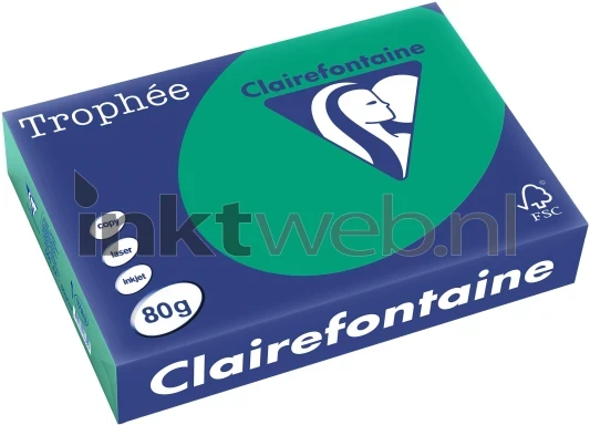 Clairefontaine A4 papier gekleurd Dennengroen