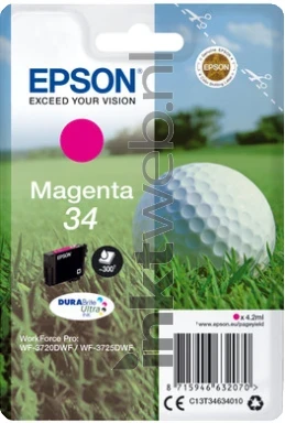 Epson 34 magenta