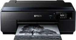 Epson SC-P600 (SureColor)