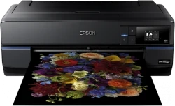 Epson SC-P800 (SureColor)