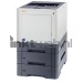 P-C3061DN