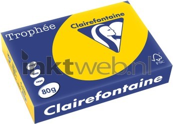 Clairefontaine A4 papier gekleurd Goudgeel Front box