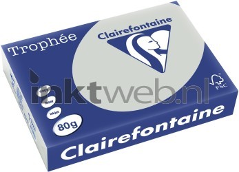 Clairefontaine A4 papier gekleurd Lichtgrijs Front box