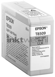 Epson T8509 licht licht zwart Front box