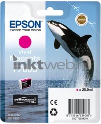 Epson T7603 magenta Front box