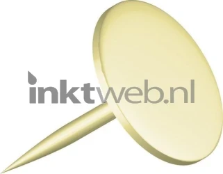 Alco punaises 100 stuks Product only