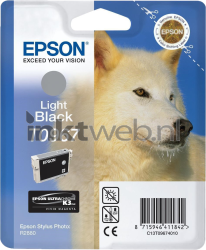 Epson T0967 licht zwart Front box