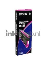 Epson T5443 magenta Front box