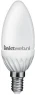 Ecoline LED Lamp warm wit E14 product only