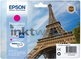 Epson T7023 magenta Front box