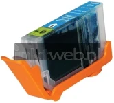 Canon BCI-6C cyaan cartridge Product only